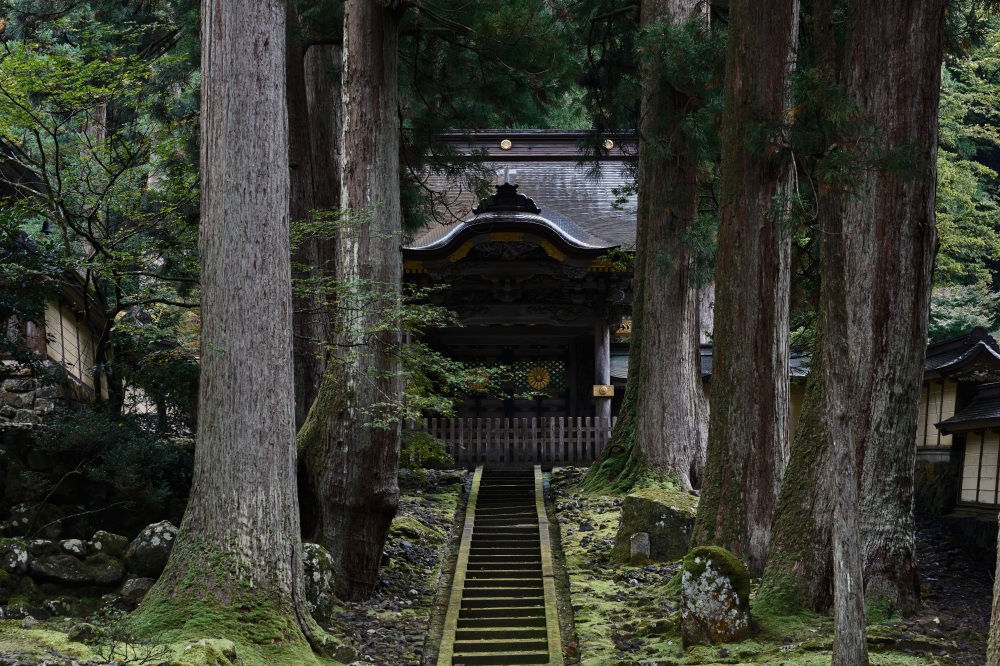見どころ満載の「大本山永平寺」で禅の世界を体験！ 禅の里を…