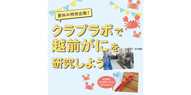 【夏休み特別企画】クラボラボで越前がにを研究しよう!