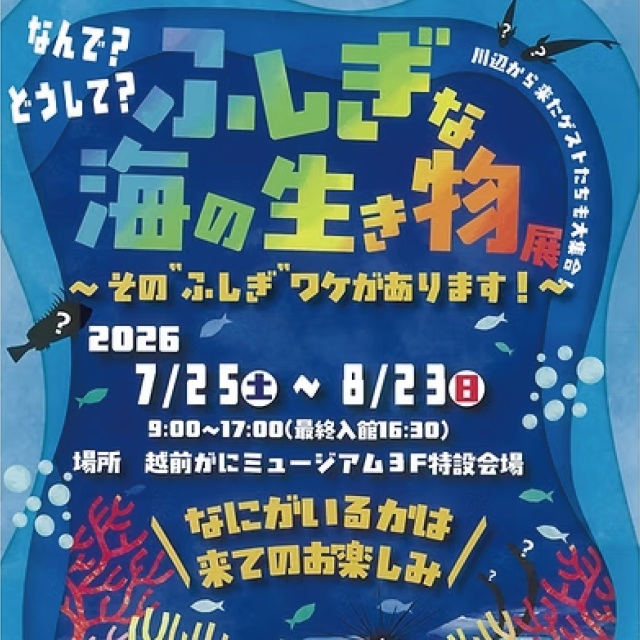 【越前がにミュージアム】ふしぎな海の生き物展2026 ~その