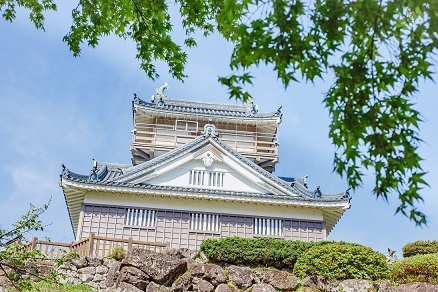 ぐるっと満喫フリーパス