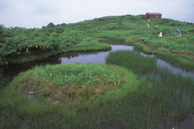 赤兎山の湿原「赤池」