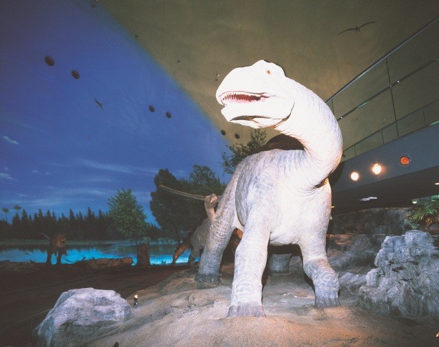 福井県立恐竜博物館 館内