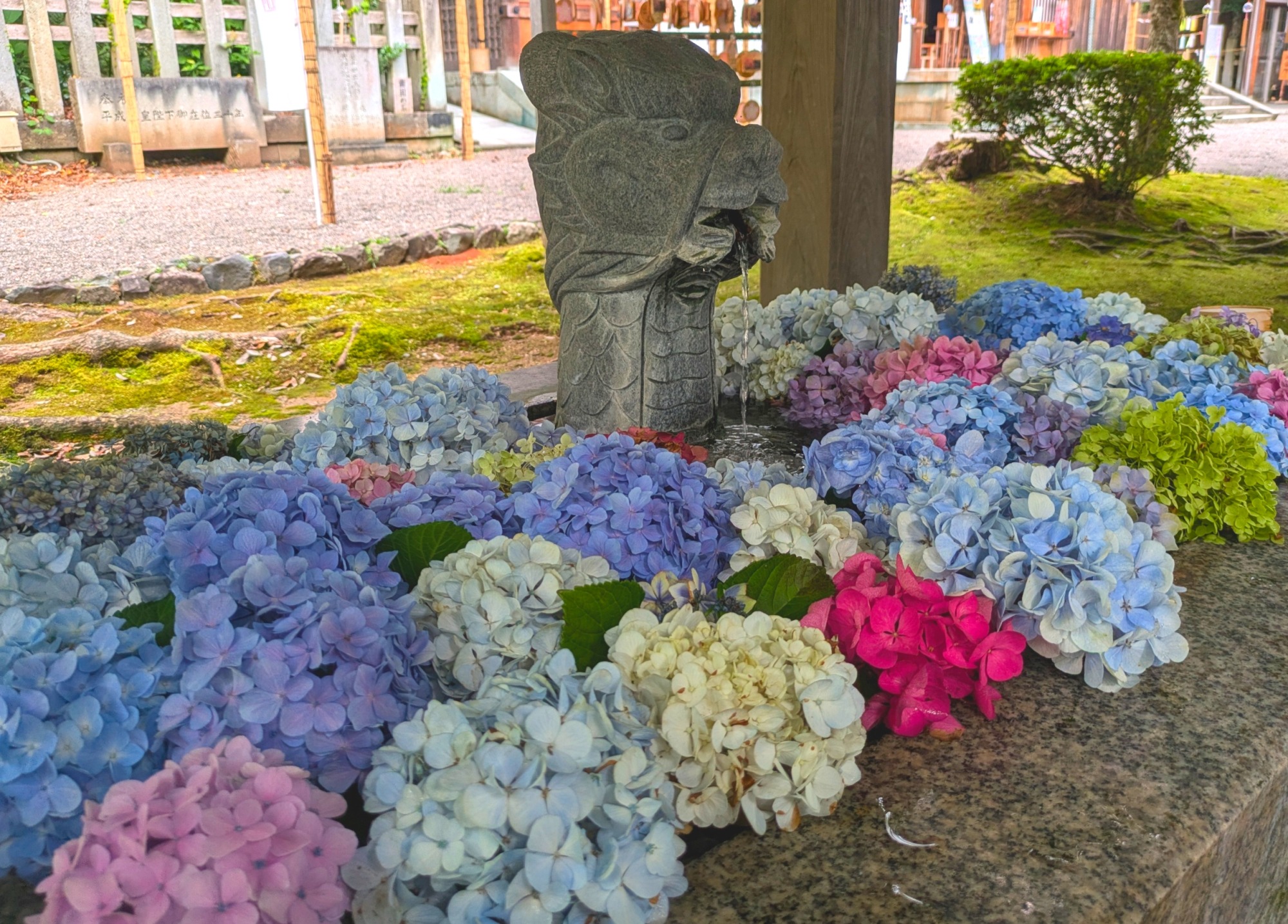 ６月が見頃の紫陽花！梅雨期に鮮やかに咲く紫陽花スポット５選