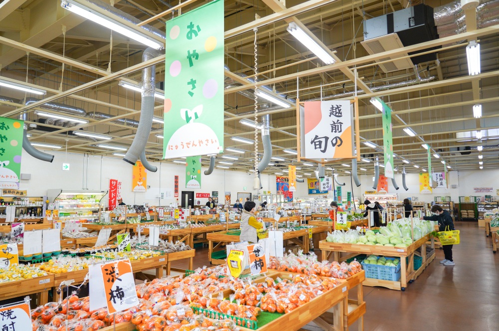 【2026年最新版】宝探し感覚でめぐる、福井の直売所ハンティング!