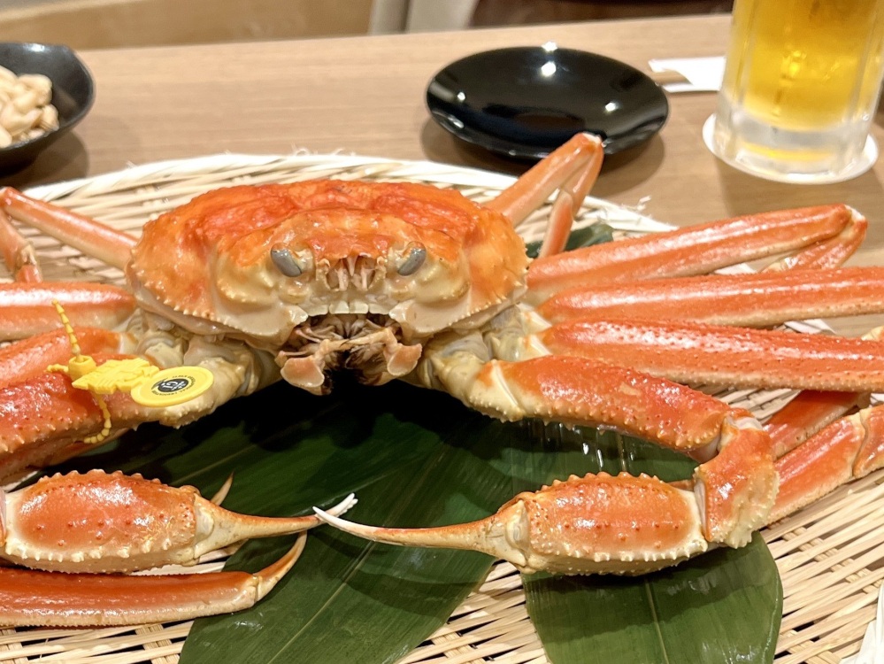 ふく旅ライターの記事も公開中！「福井駅周辺で気軽に食べられる！【越前がに】の美味しい料理大特集」
