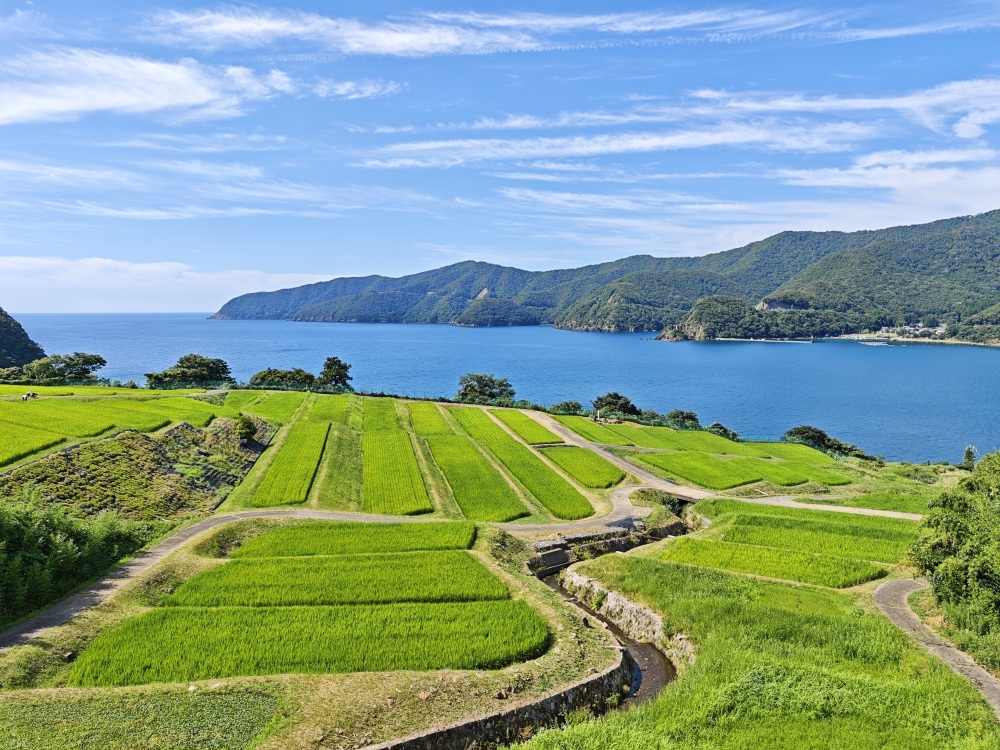 Terraced rice fields facing Wakasa Bay