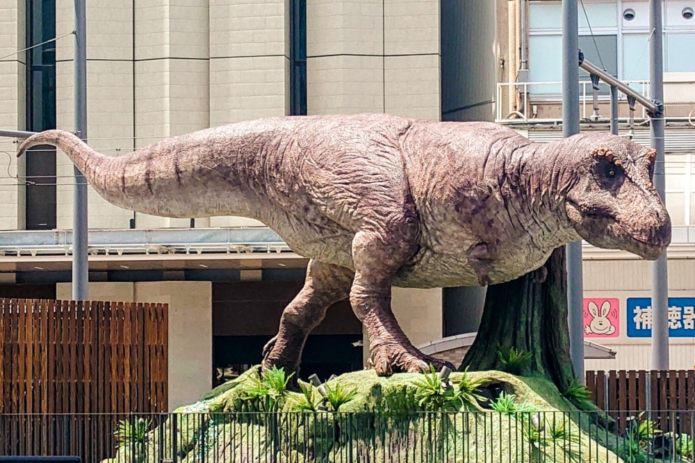 福井駅前には恐竜がたくさん！ぜひ全ての恐竜と写真を撮ってみてください