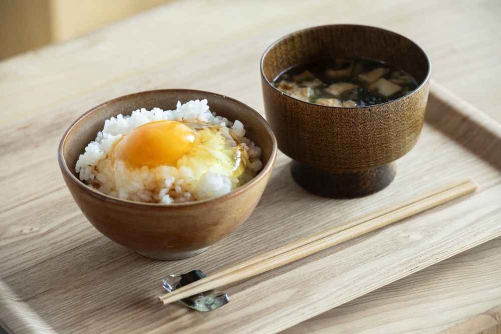 越前海岸でとれた名品ぞろいで朝ごはん