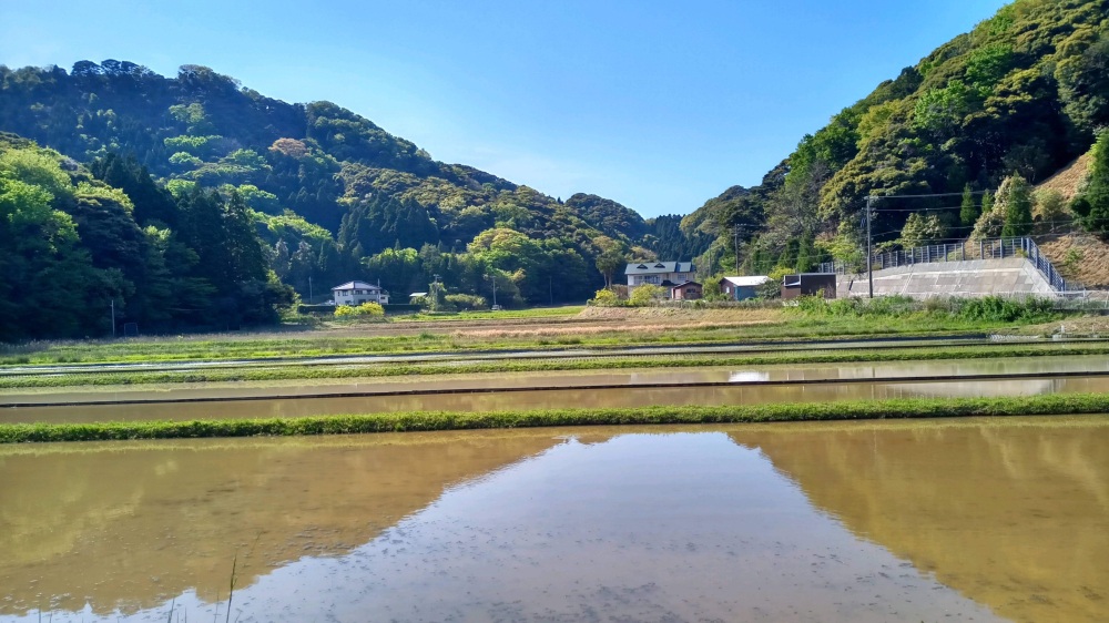 ウユニ塩湖のような田んぼ