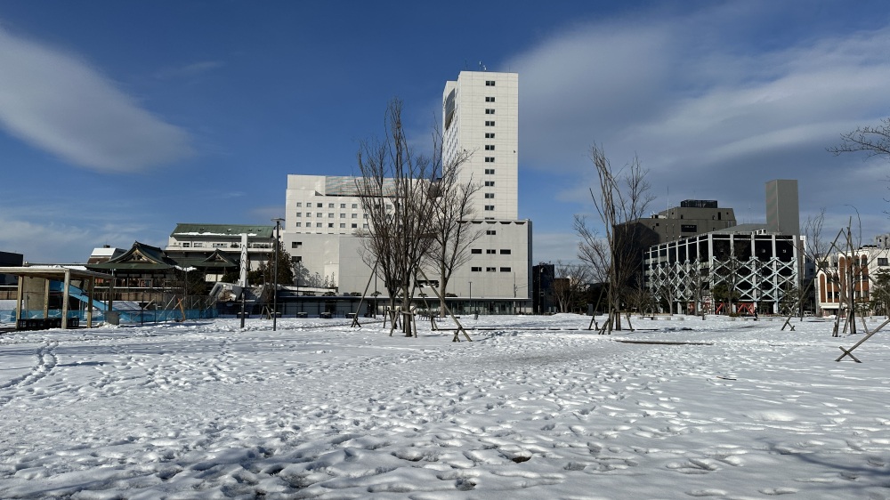 中央公園から見たホテルフジタ福井