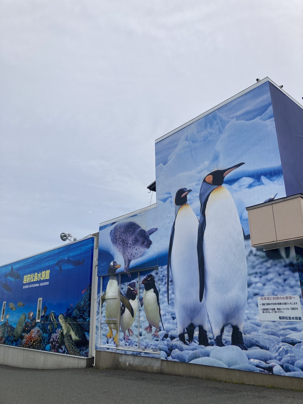 松島水族館（建物でわくわくします）