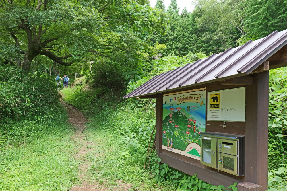 青葉山登山