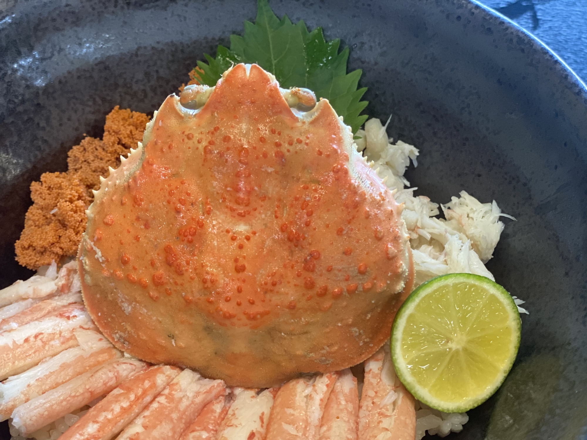 【期間限定】福井の冬の風物詩！シーズンファイナル！！せいこ丼を食べつくせ！おすすめ４選