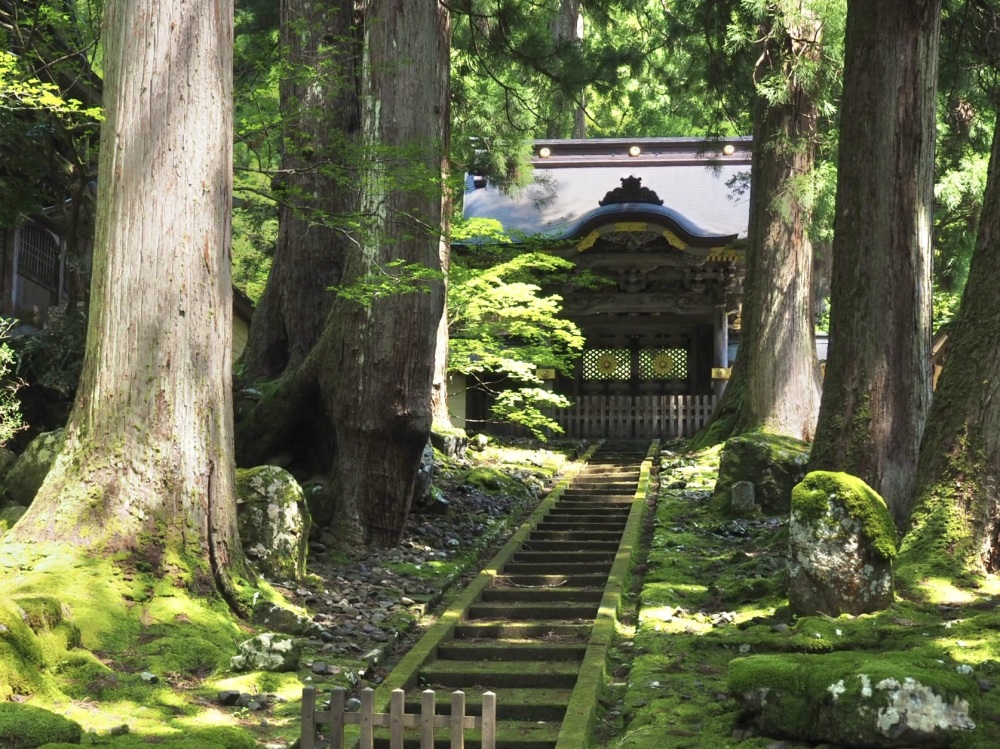 電車とバスで楽しむ!永平寺ぶらり旅レポート