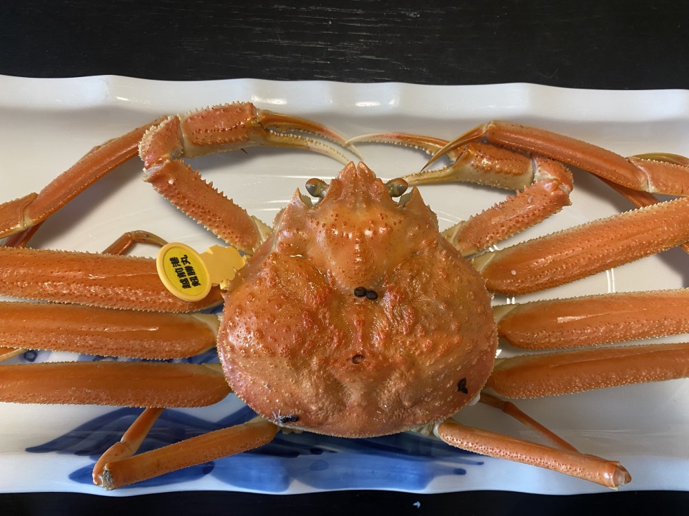 越前がにを食べるなら、やっぱり聖地「越前町」で!「越前温泉 平成」で味わう海音と神業のフルコース蟹ランチ