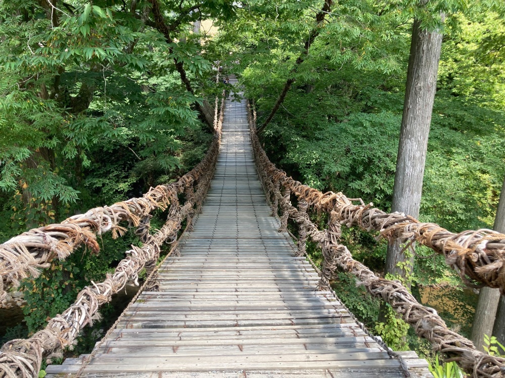 「かずら橋」は渡るだけじゃもったいない!池田町グルメ5選と遊歩道ウォーキング!