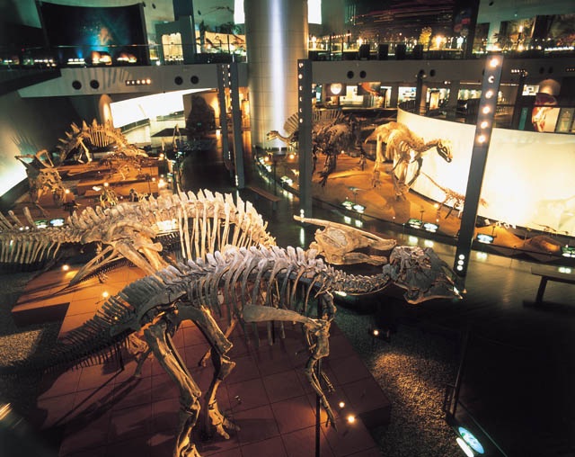 日本一の恐竜博物館と化石発掘体験・アイスクリームづくり体験プラン！（1泊2日）