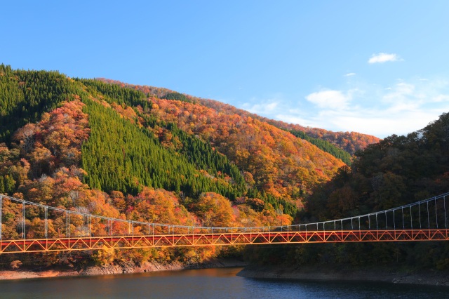 紅葉の絶景と里芋の美味しさを堪能！大野の秋満喫ツアー