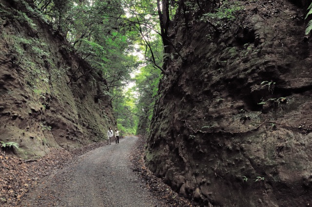 吉崎道 　鴫谷山の切通し