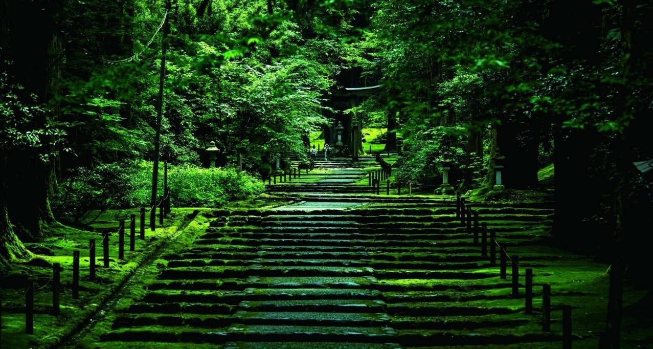 Sanctuaire Hakusan HeisenjiUn sanctuaire ancien — et autrefois un temple — recouvert de mousse