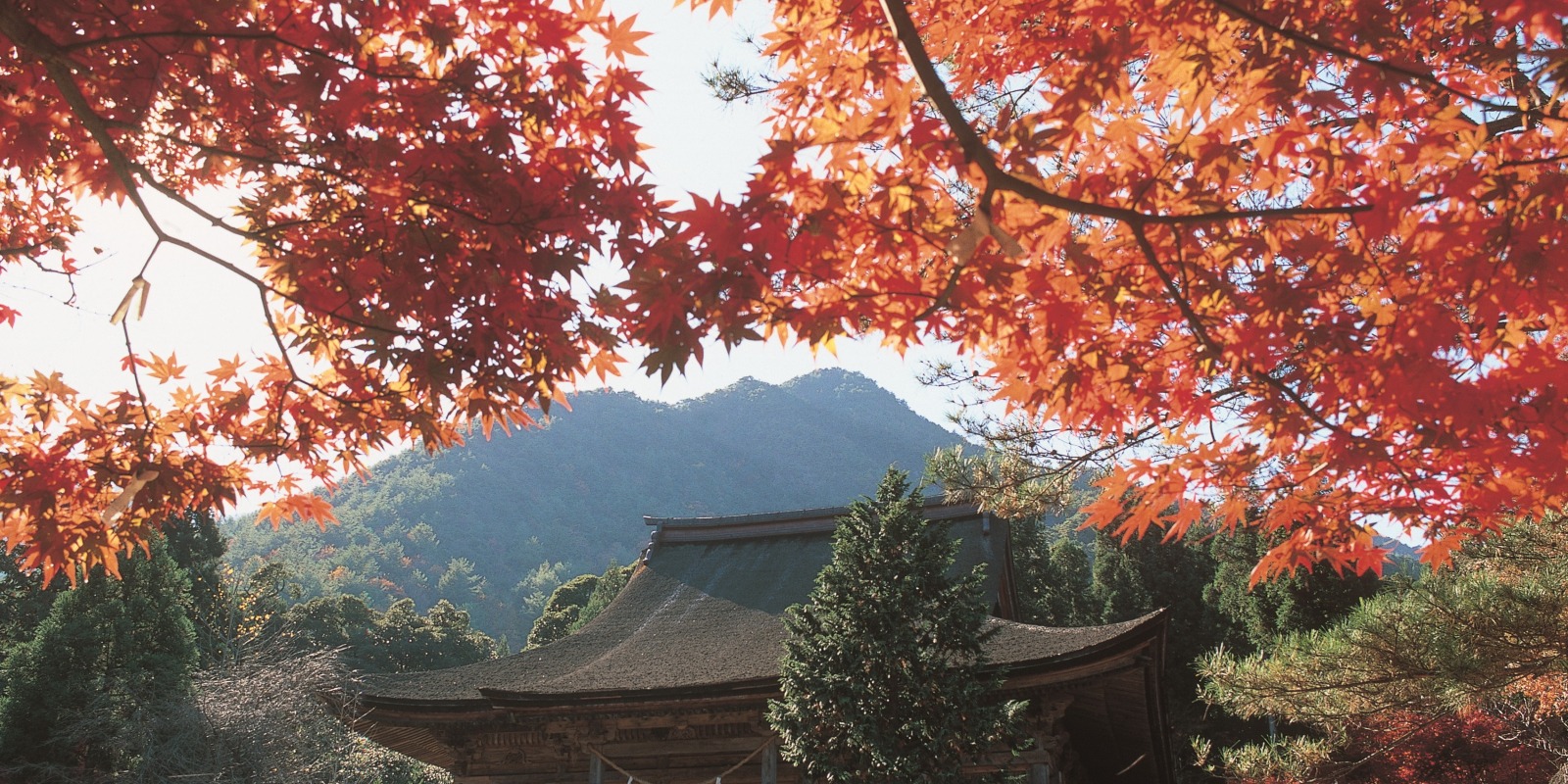 Jinguji TempleThe Temple that 'Supplies' Todaiji Temple in Nara With Water