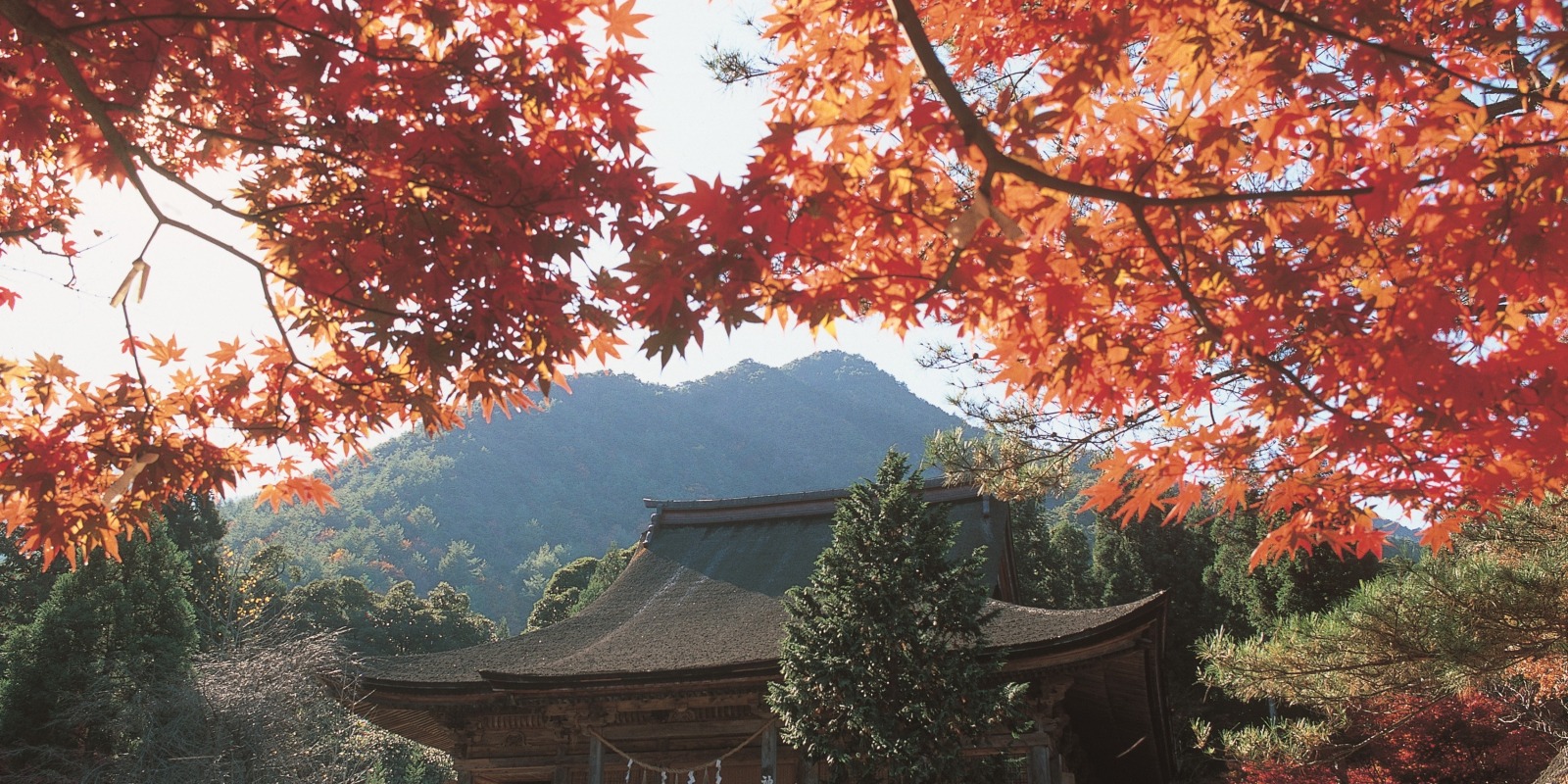 Jinguji : le temple qui "approvisionne" en eau le Todaiji de Nara