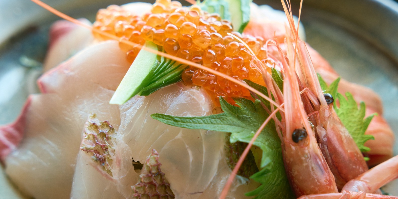 【福井の定番】海鮮丼好き必見!越前海岸でしか食べられない「浜の活丼」の魅力とは