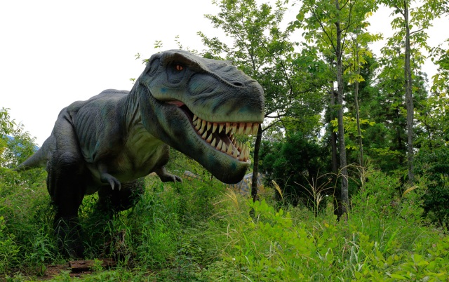 Fukui : la capitale japonaise des dinosaures