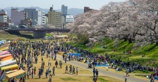 ふくい桜まつり2025