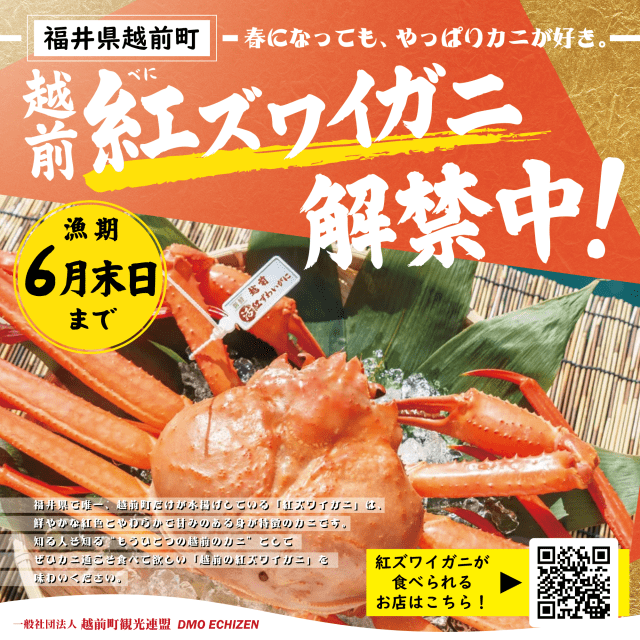 【越前町】越前紅ズワイガニ解禁フェア2026【春】
