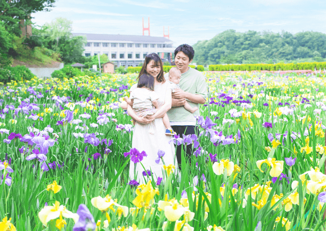 あわら北潟湖畔花菖蒲まつり