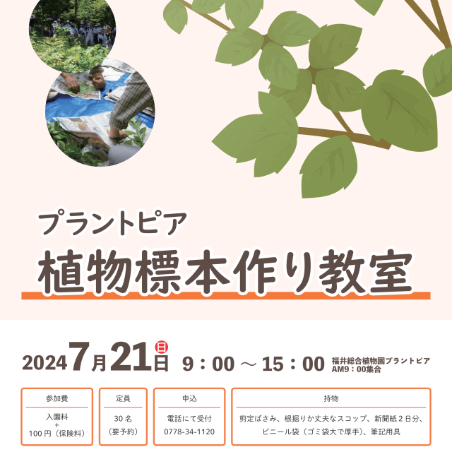 【福井総合植物園プラントピア】植物標本作り教室2024
