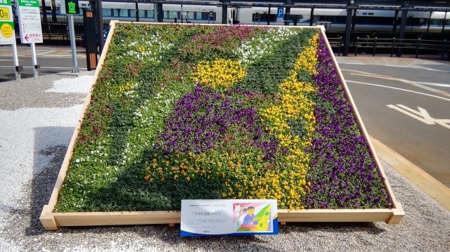 北陸新幹線福井・敦賀開業記念「おもてなし花壇」インスタグラ…