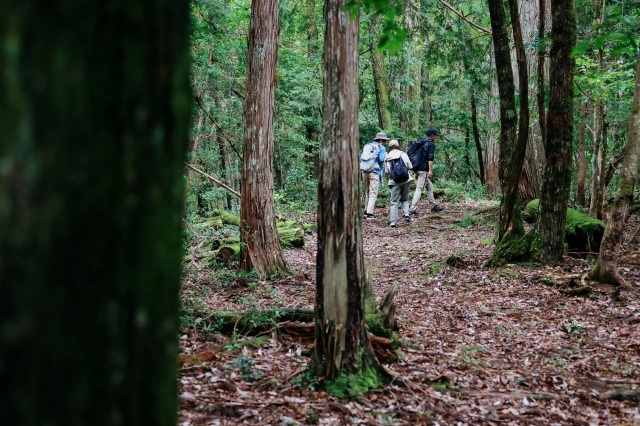 里山トレイル