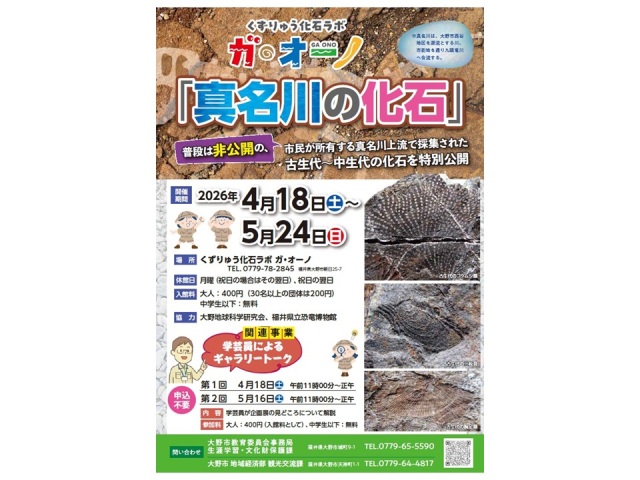 企画展「真名川の化石」 くずりゅう化石ラボ ガ・オーノ