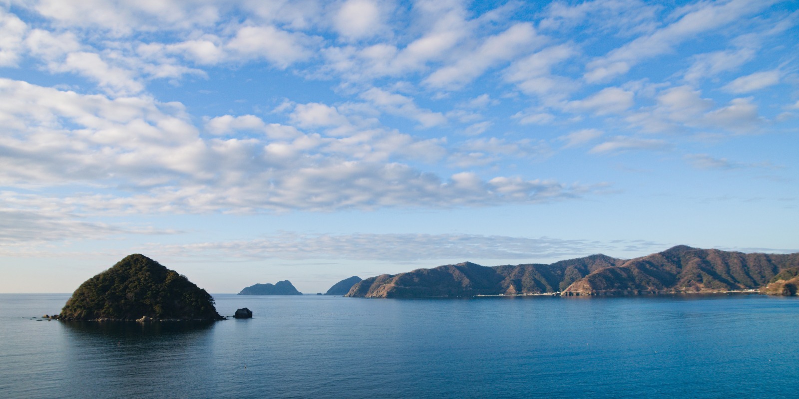 小島と入り組んだ海岸線を眺める世久見湾